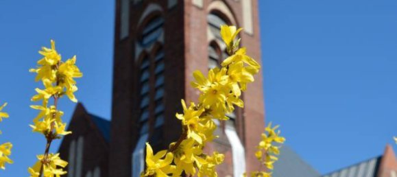 Квартира с 2 комнатами в Моабит, Германия № 42849 26