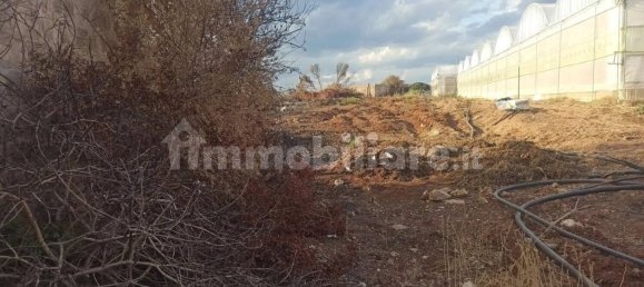 2 bedrooms House in Portopalo di Capo Passero, Italy No. 110206 21