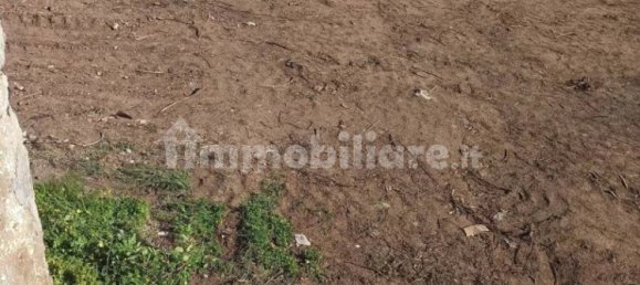 2 bedrooms House in Portopalo di Capo Passero, Italy No. 110206 7