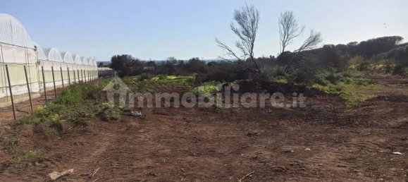 2 bedrooms House in Portopalo di Capo Passero, Italy No. 110206 4