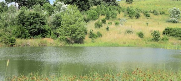 5 Schlafzimmer Haus in Magliano in Toscana, Italy, Nr. 80565 5