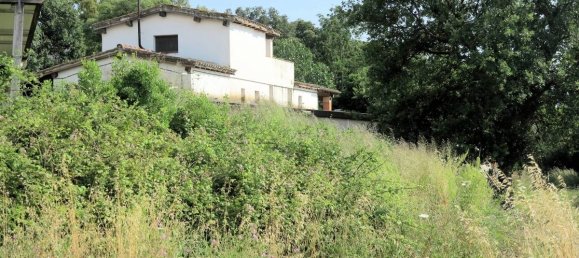 5 Schlafzimmer Haus in Magliano in Toscana, Italy, Nr. 80565 15