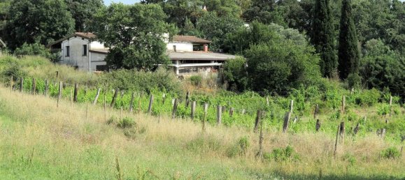 5 Schlafzimmer Haus in Magliano in Toscana, Italy, Nr. 80565 4