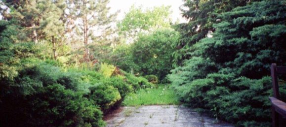 9-Zimmer Villa in Traiskirchen, Austria, Nr. 141342 8