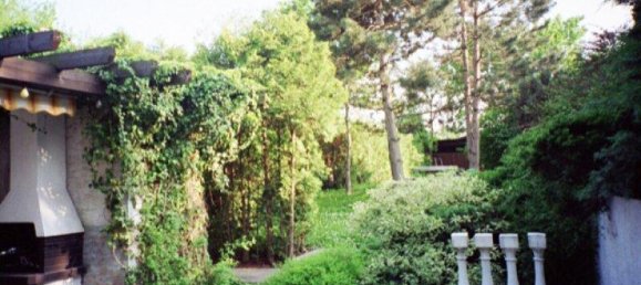 9-Zimmer Villa in Traiskirchen, Austria, Nr. 141342 5