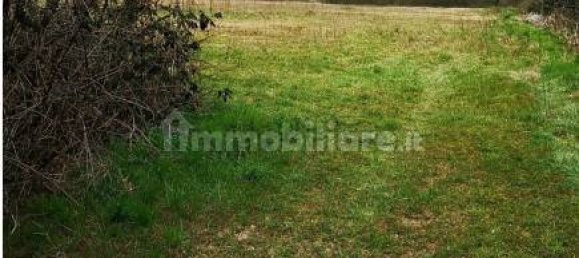 7020m² Land in Fontaneto d'Agogna, Italy No. 288169 5