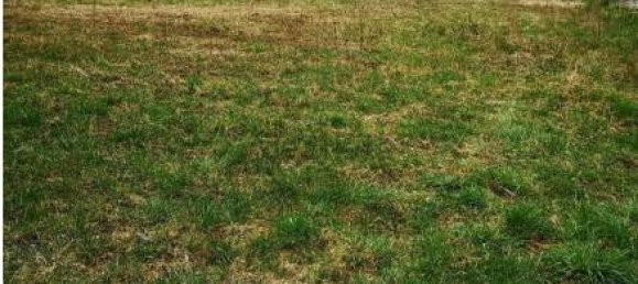 7020m² Land in Fontaneto d'Agogna, Italy No. 288169 8