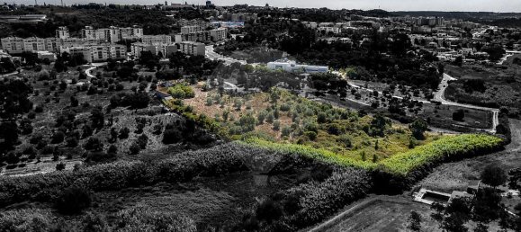 3 Schlafzimmer Grundstück in Santarem, Portugal, Nr. 168750 13