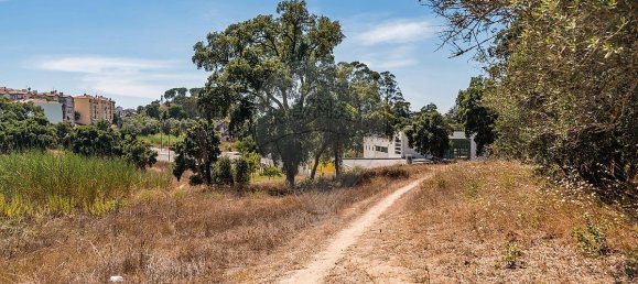 3 Schlafzimmer Grundstück in Santarem, Portugal, Nr. 168750 26