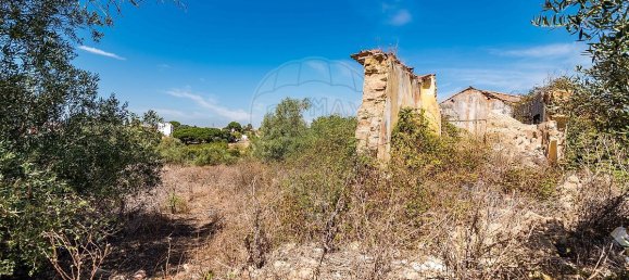 3 Schlafzimmer Grundstück in Santarem, Portugal, Nr. 168750 27