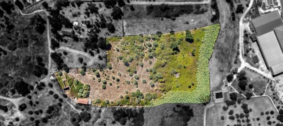 3 Schlafzimmer Grundstück in Santarem, Portugal, Nr. 168750 9