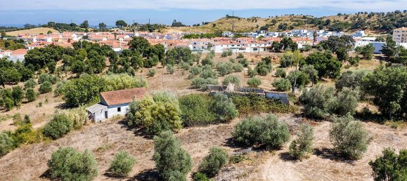 3 Schlafzimmer Grundstück in Santarem, Portugal, Nr. 168750 17