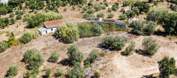 3 Schlafzimmer Grundstück in Santarem, Portugal, Nr. 168750 18