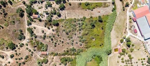 3 Schlafzimmer Grundstück in Santarem, Portugal, Nr. 168750 10