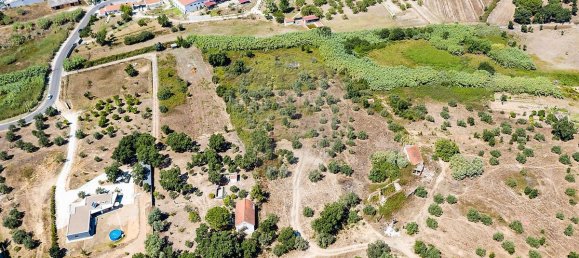3 Schlafzimmer Grundstück in Santarem, Portugal, Nr. 168750 3