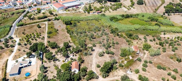 3 Schlafzimmer Grundstück in Santarem, Portugal, Nr. 168750 2
