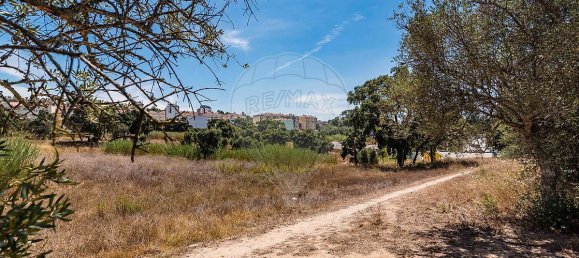 3 Schlafzimmer Grundstück in Santarem, Portugal, Nr. 168750 22