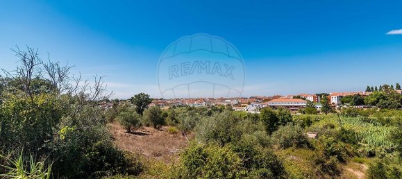 3 Schlafzimmer Grundstück in Santarem, Portugal, Nr. 168750 34