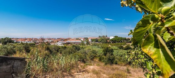 3 Schlafzimmer Grundstück in Santarem, Portugal, Nr. 168750 30