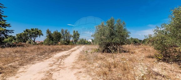 3 Schlafzimmer Grundstück in Santarem, Portugal, Nr. 168750 24