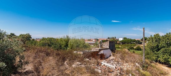 3 Schlafzimmer Grundstück in Santarem, Portugal, Nr. 168750 29