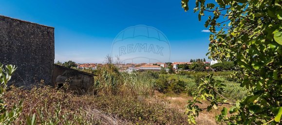 3 Schlafzimmer Grundstück in Santarem, Portugal, Nr. 168750 31