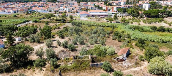3 Schlafzimmer Grundstück in Santarem, Portugal, Nr. 168750 15