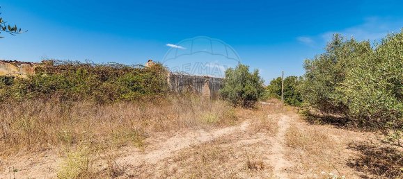 3 Schlafzimmer Grundstück in Santarem, Portugal, Nr. 168750 28