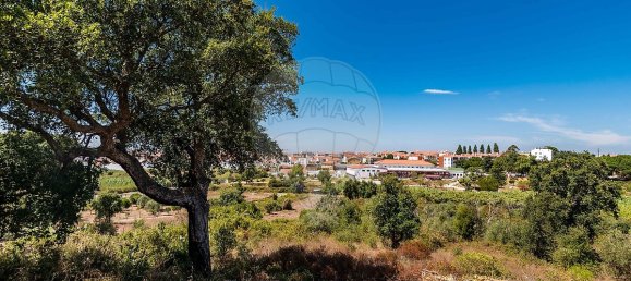 3 Schlafzimmer Grundstück in Santarem, Portugal, Nr. 168750 25