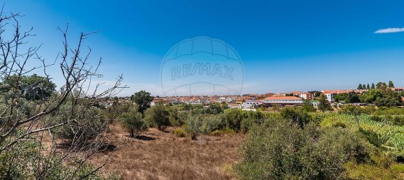 3 Schlafzimmer Grundstück in Santarem, Portugal, Nr. 168750 35