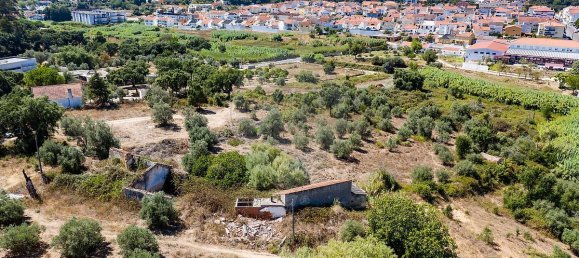 3 Schlafzimmer Grundstück in Santarem, Portugal, Nr. 168750 16