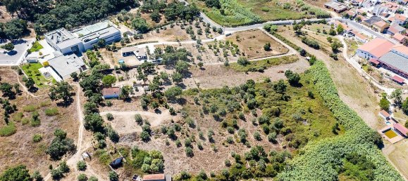 3 Schlafzimmer Grundstück in Santarem, Portugal, Nr. 168750 11