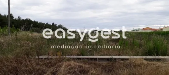  Land in Paiao, Portugal No. 90928 5
