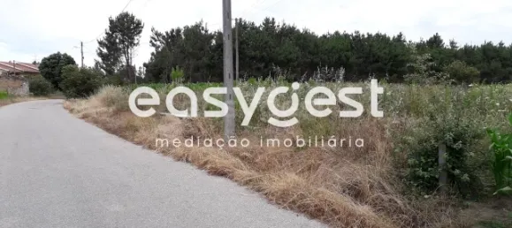  Land in Paiao, Portugal No. 90928 3