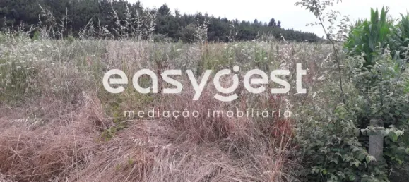  Land in Paiao, Portugal No. 90928 2