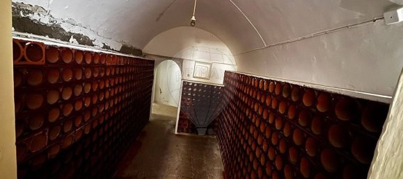 Casa de 9 dormitorios en Viana do Alentejo, Portugal No. 164589 2