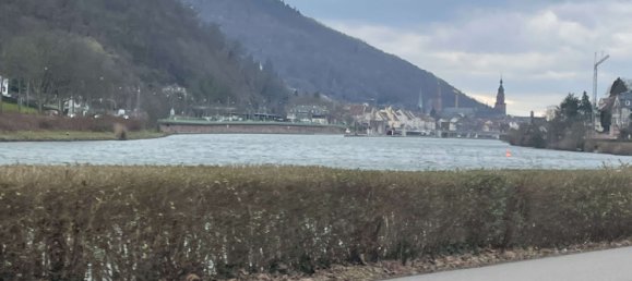 2 Schlafzimmer Wohnung in Heidelberg, Germany, Nr. 13826 20