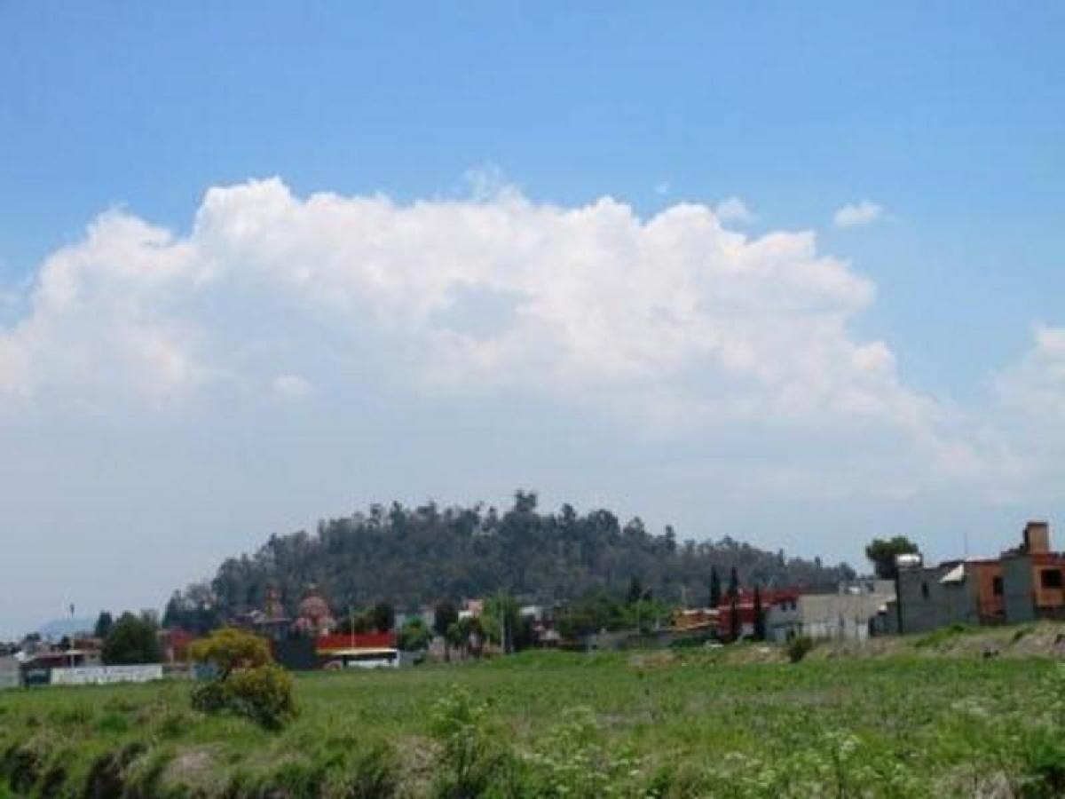 Grundstück in Mexico, Nr. 205241