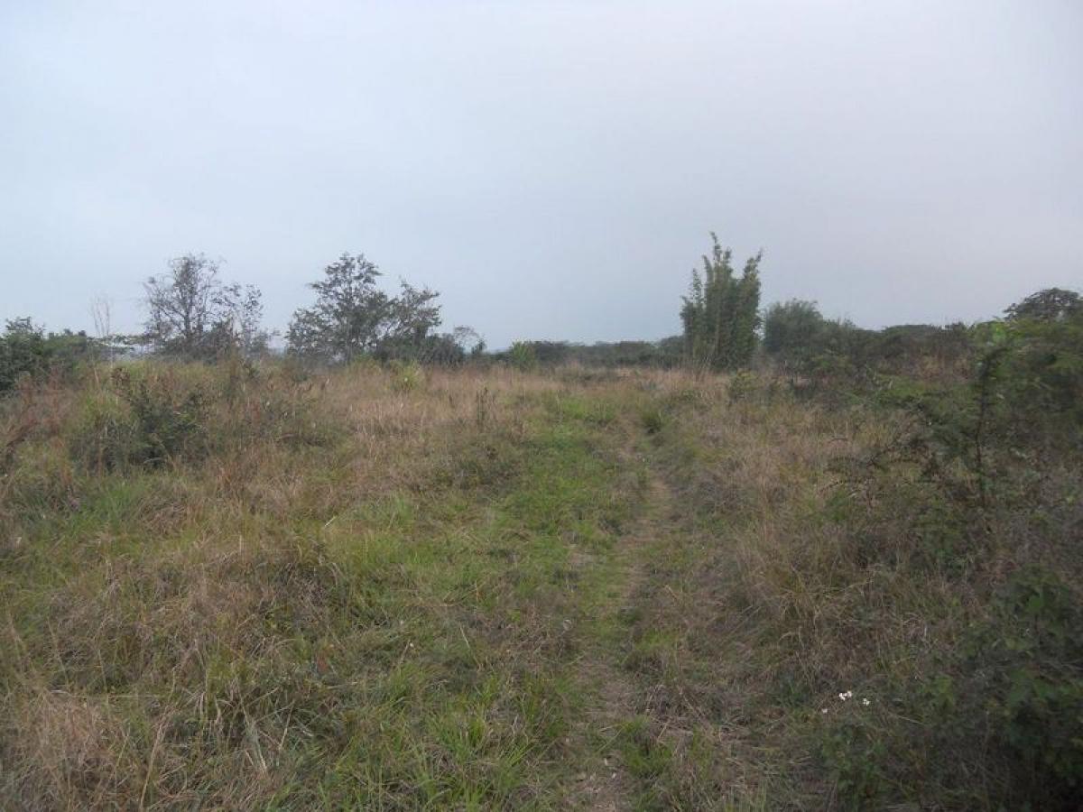  Land in Veracruz, Mexico No. 206755