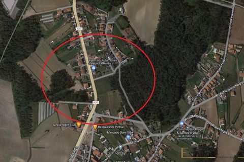  Land in Laundos, Portugal No. 328476