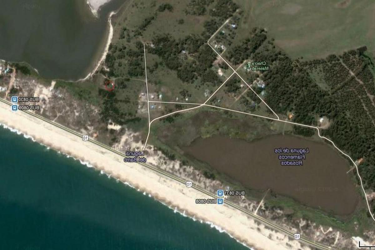  قطعة أرض في Maldonado, Uruguay رقم 14552
