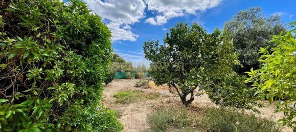 3 bedrooms House in Olhao, Portugal No. 135768 48