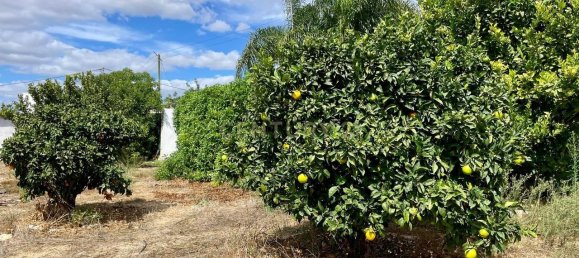 3 bedrooms House in Olhao, Portugal No. 135768 46