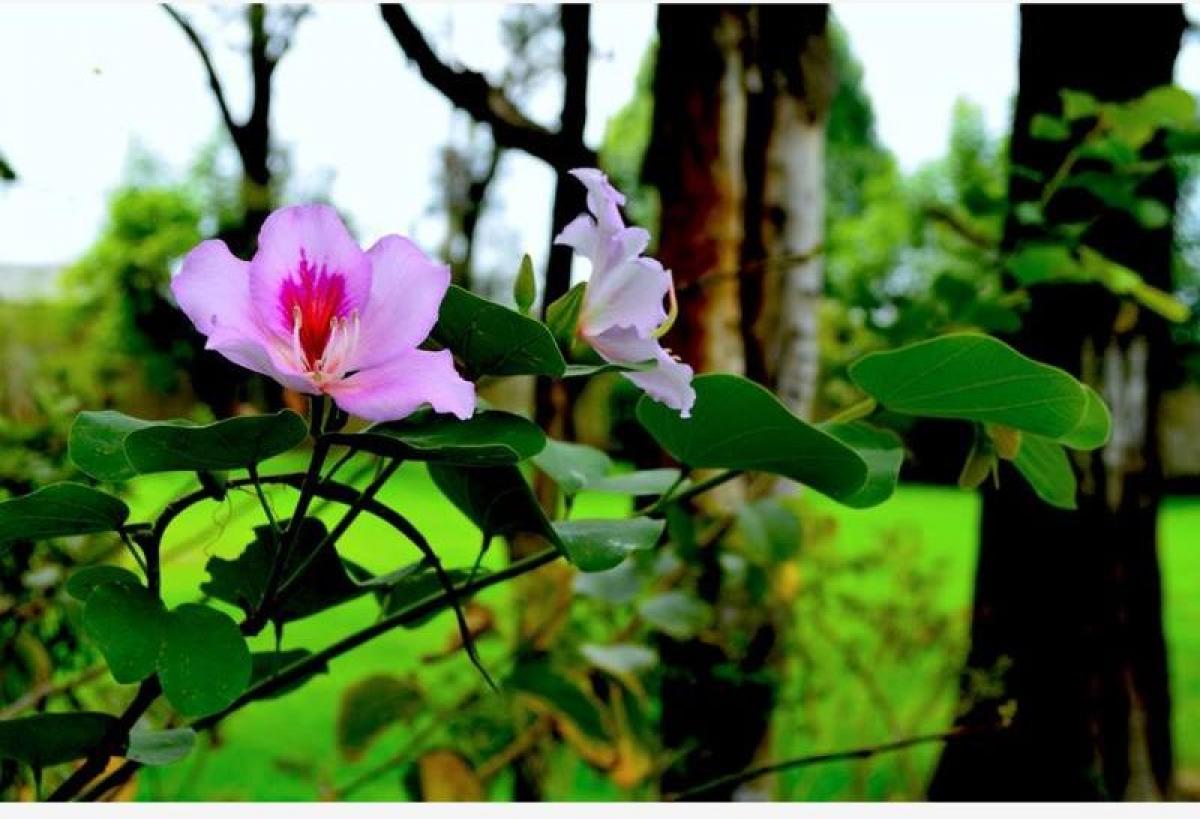 3 bedrooms House in Jalisco, Mexico No. 158532