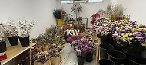 Gewerbliche Immobilie in Porto, Portugal 374m², Nr. 40807 11