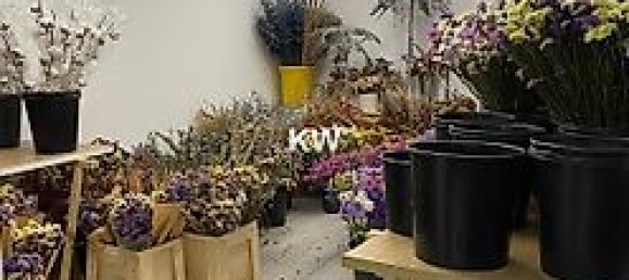 Gewerbliche Immobilie in Porto, Portugal 374m², Nr. 40807 10