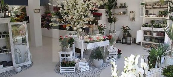 Gewerbliche Immobilie in Porto, Portugal 374m², Nr. 40807 4