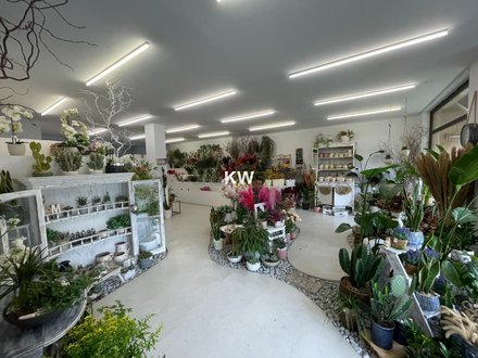 Gewerbliche Immobilie in Porto, Portugal 374m², Nr. 40807