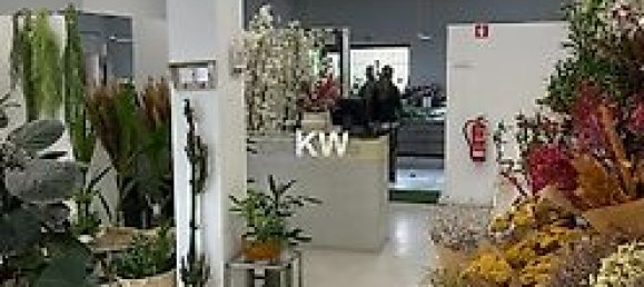 Gewerbliche Immobilie in Porto, Portugal 374m², Nr. 40807 6