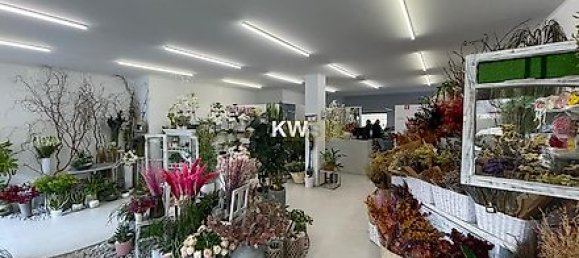 Gewerbliche Immobilie in Porto, Portugal 374m², Nr. 40807 3